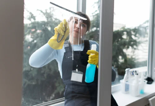 Nettoyage de vitres intérieures et extérieures à Mécleuves
